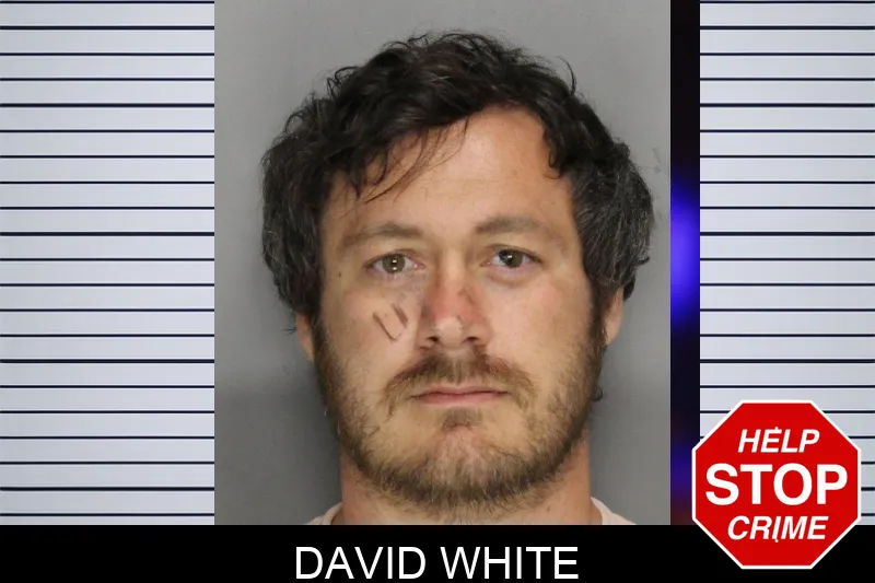 David White mugshot – Cobb County , Georgia David White mugshot