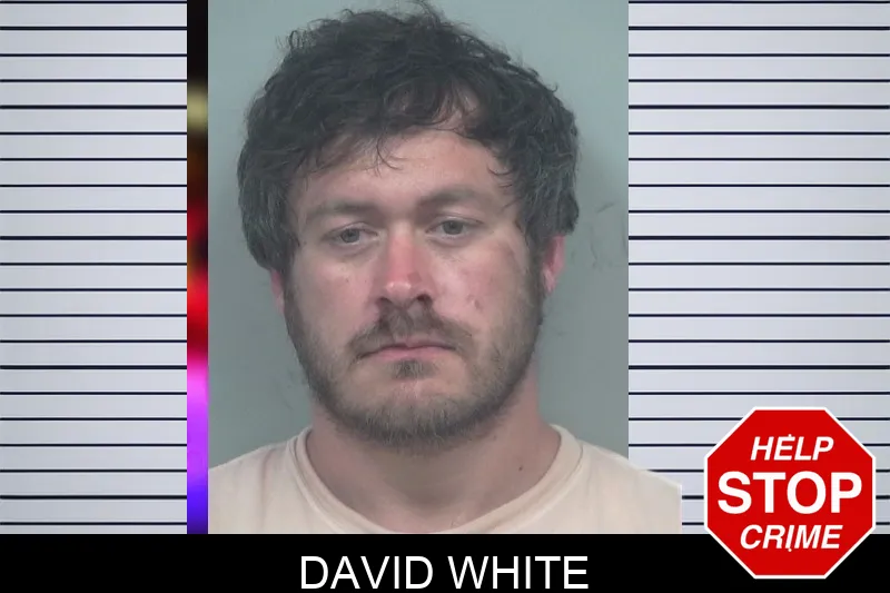 David White mugshot – Gwinnett County , Georgia David White mugshot