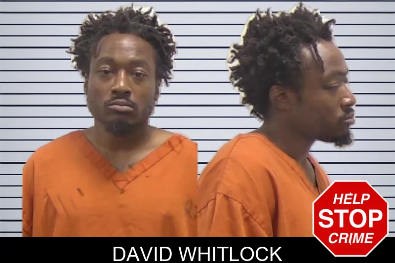 David Whitlock mugshot