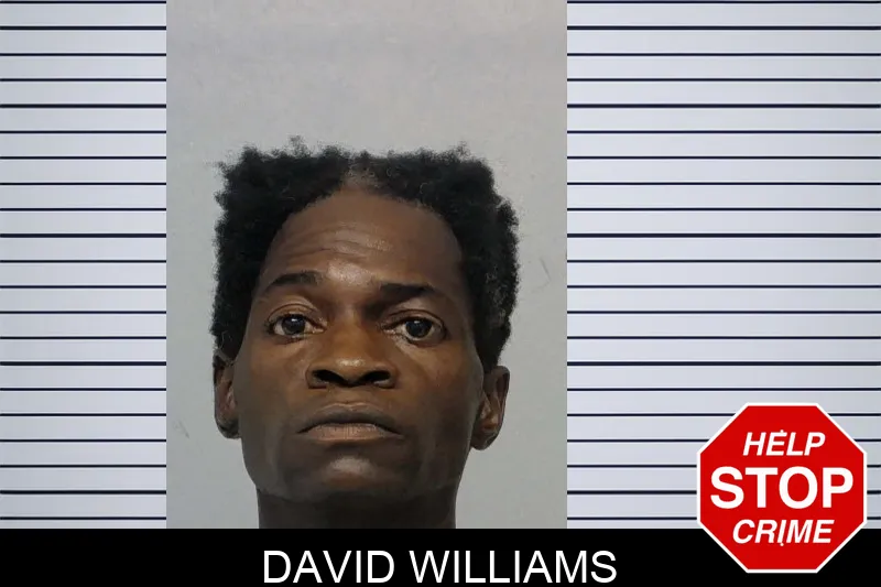 David Williams mugshot