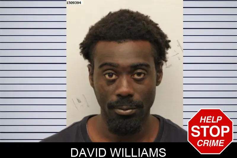 David Williams mugshot – Chatham County , Georgia David Williams mugshot