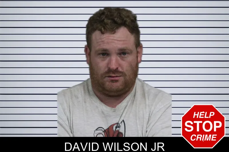 David Wilson Jr mugshot – Catoosa County , Georgia David Wilson Jr mugshot