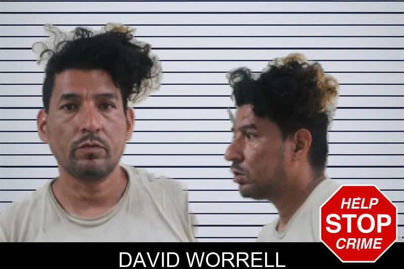 David Worrell mugshot – Houston County , Georgia David Worrell mugshot