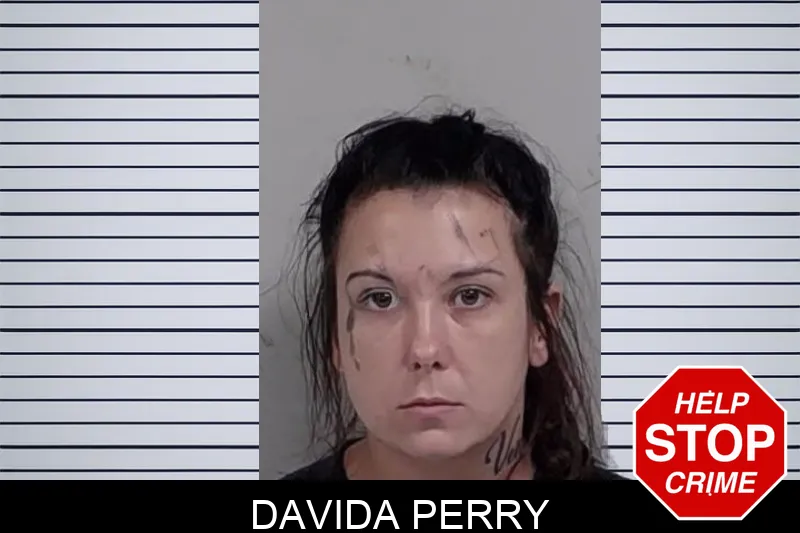 Davida Perry mugshot