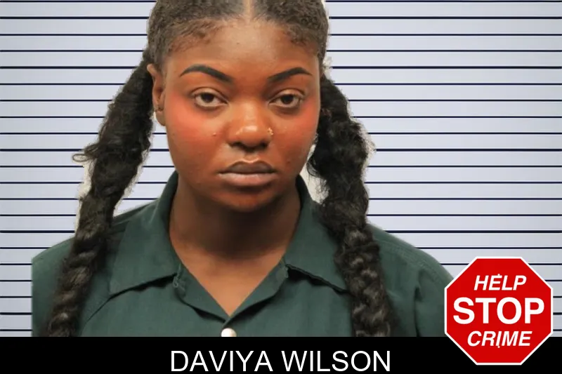 Daviya Wilson mugshot