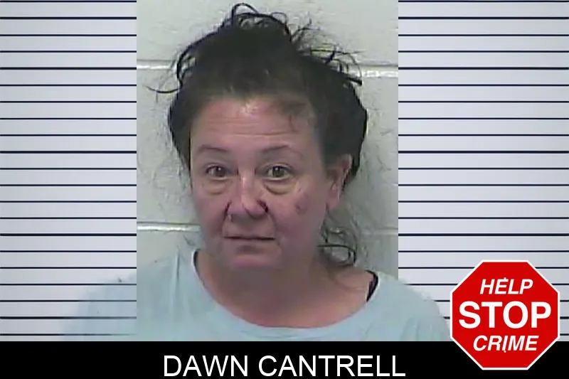 Dawn Cantrell mugshot