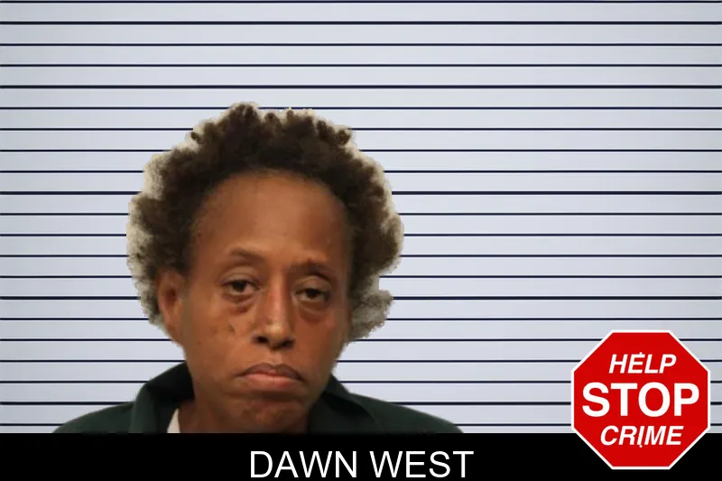 Dawn West mugshot – Chatham County , Georgia Dawn West mugshot