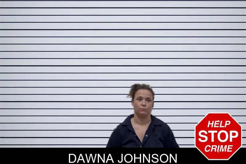 Dawna Johnson mugshot
