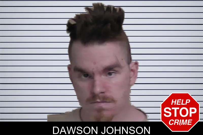 Dawson Johnson mugshot