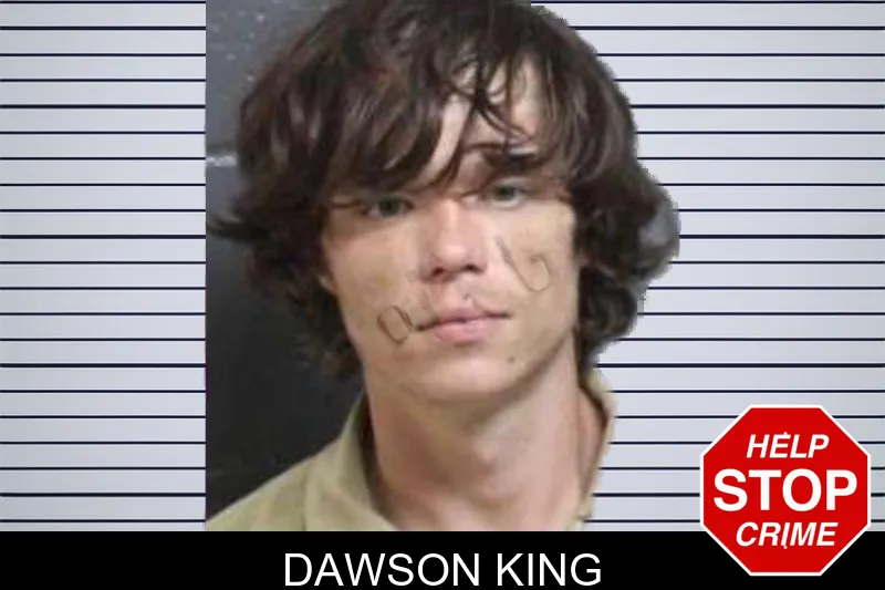 Dawson King mugshot