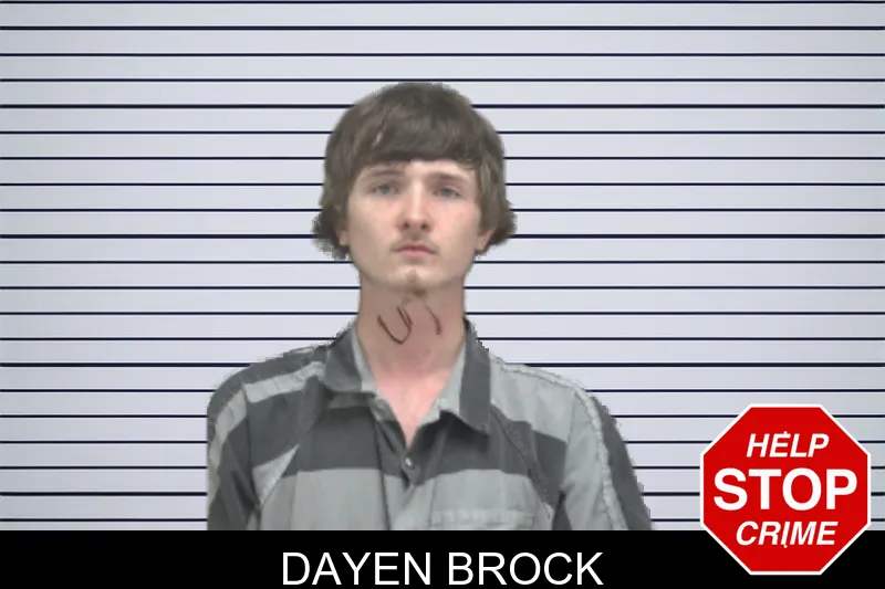 Dayen Brock mugshot