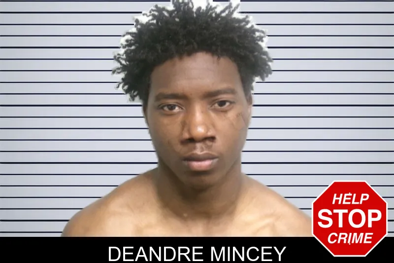 DeAndre Mincey mugshot