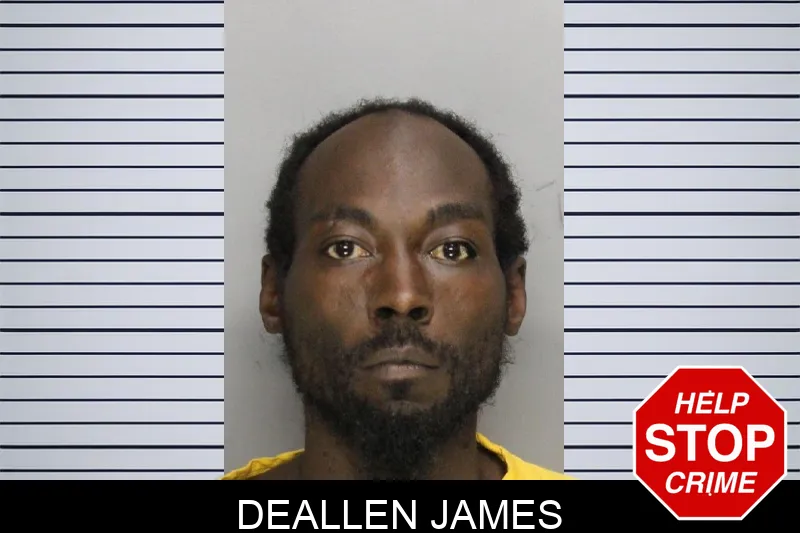 Deallen James mugshot