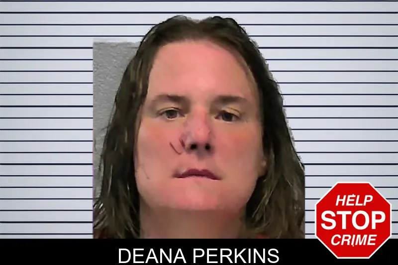 Deana Perkins mugshot
