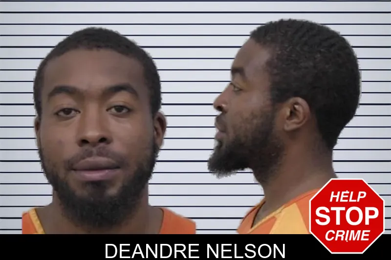 Deandre Nelson mugshot