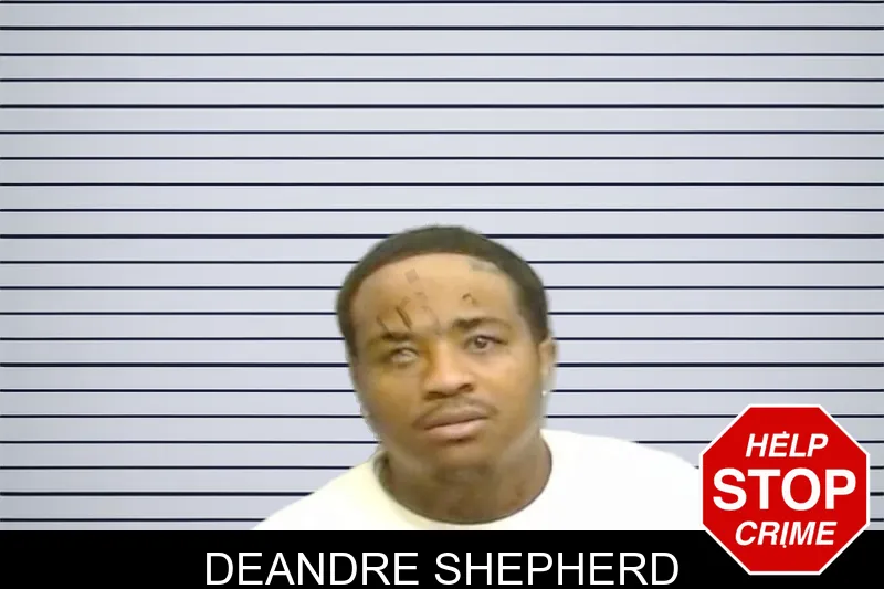 Deandre Shepherd mugshot
