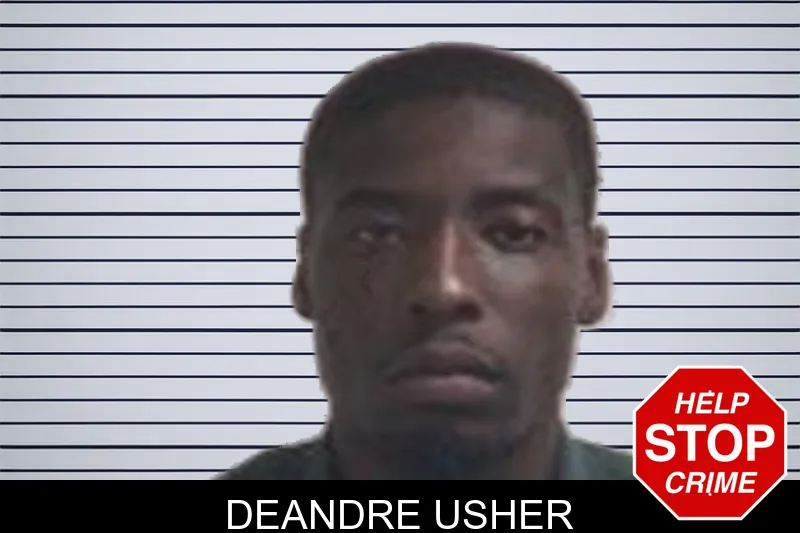 Deandre Usher mugshot – Henry County , Georgia Deandre Usher mugshot