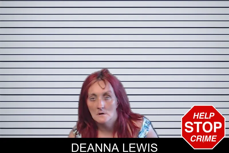Deanna Lewis mugshot