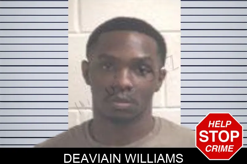 Deaviain Williams mugshot