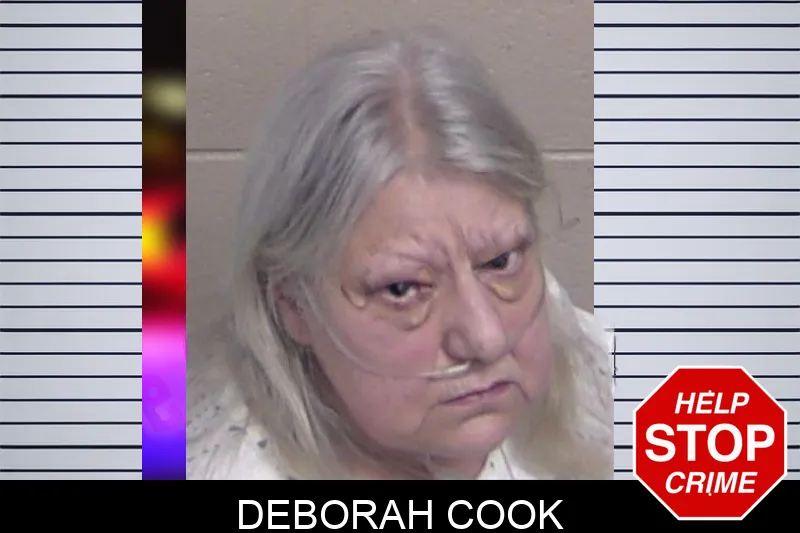 Deborah Cook mugshot