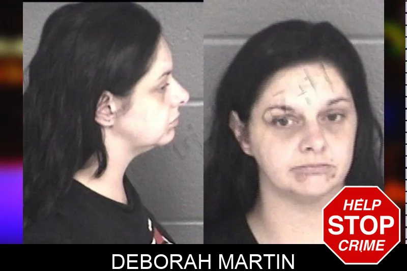 Deborah Martin mugshot – Barrow County , Georgia Deborah Martin mugshot