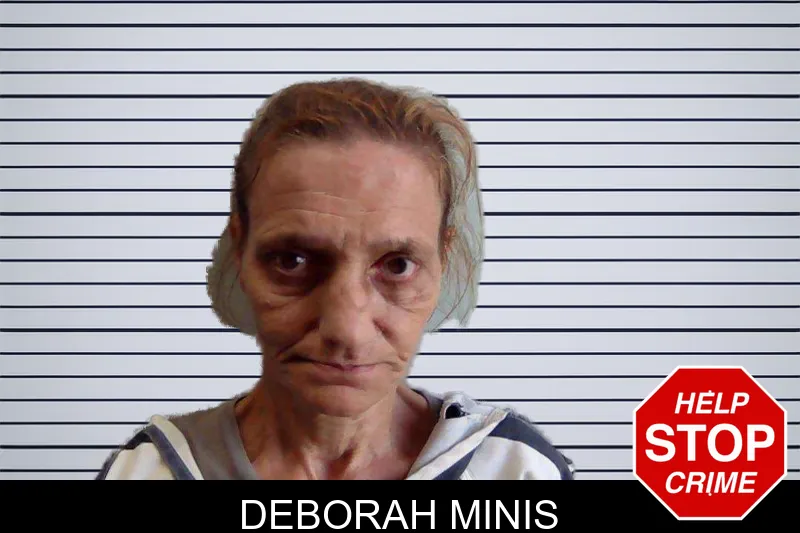 Deborah Minis mugshot – Evans County , Georgia Deborah Minis mugshot