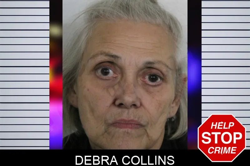 Debra Collins mugshot