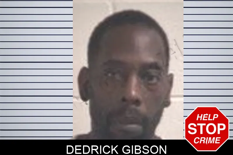 Dedrick Gibson mugshot – Henry County , Georgia Dedrick Gibson mugshot