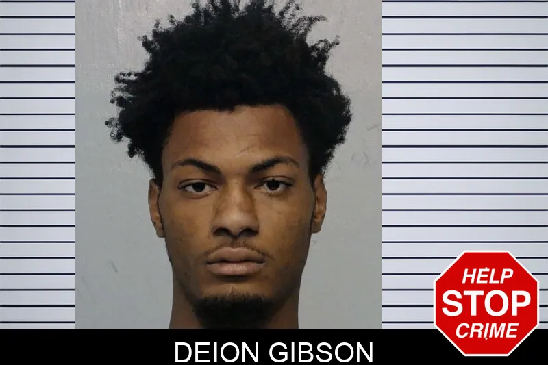 Deion Gibson mugshot