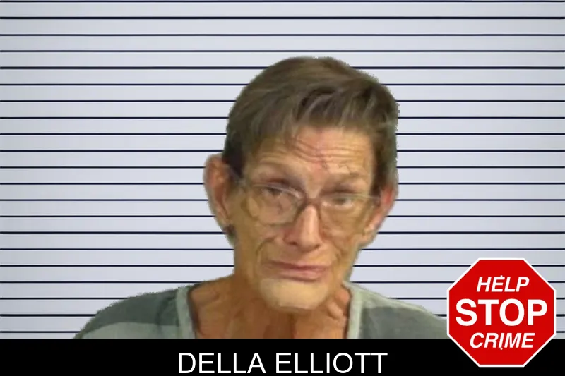 Della Elliott mugshot