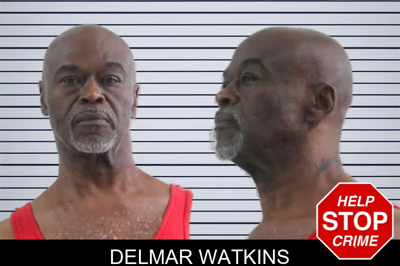 Delmar Watkins mugshot