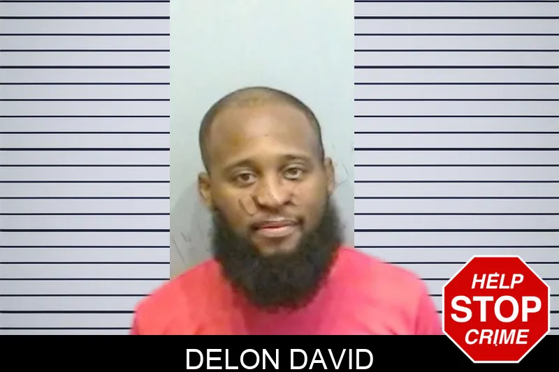 Delon David mugshot