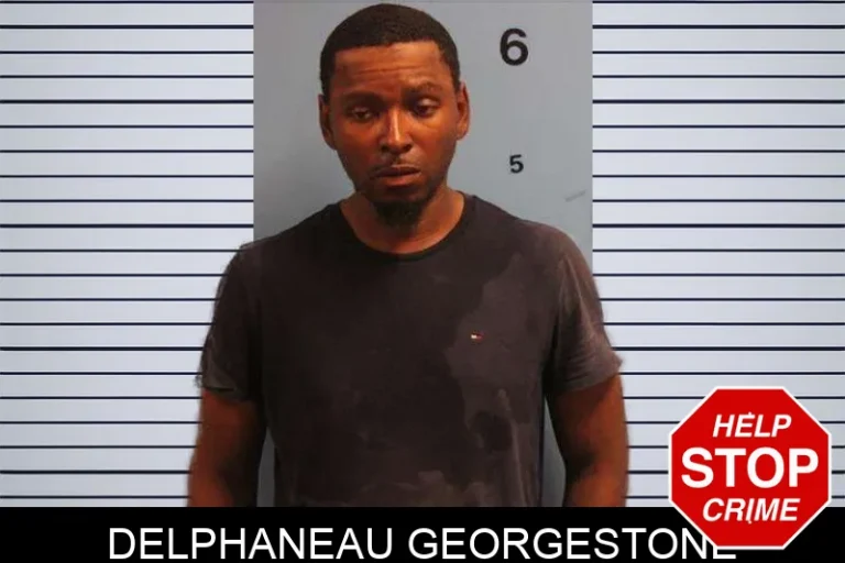 Delphaneau Georgestone