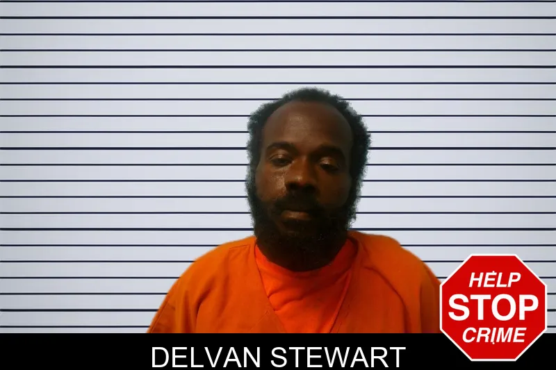Delvan Stewart mugshot – Franklin County , Georgia Delvan Stewart mugshot