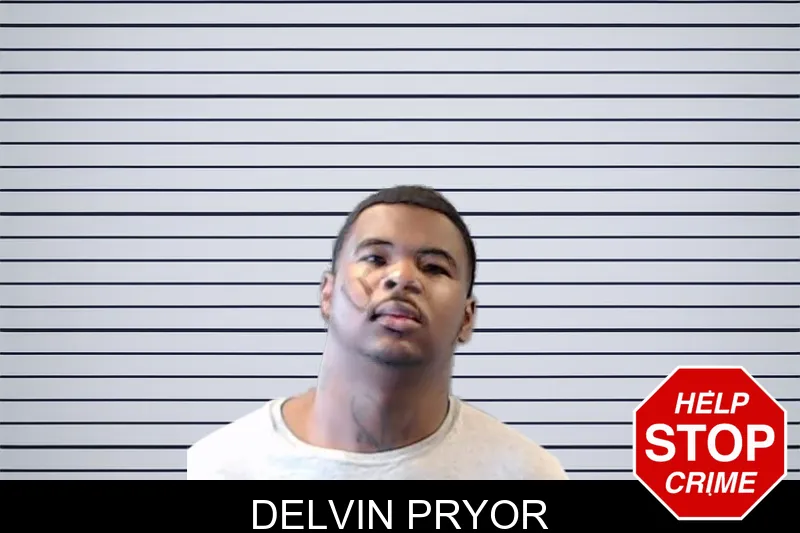 Delvin Pryor mugshot