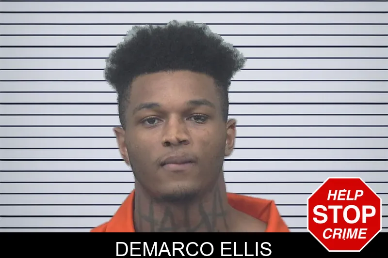 Demarco Ellis mugshot