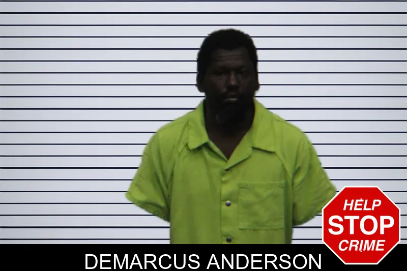 Demarcus Anderson mugshot – Turner County , Georgia Demarcus Anderson mugshot