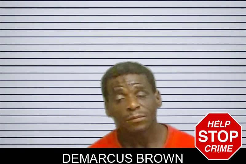 Demarcus Brown mugshot