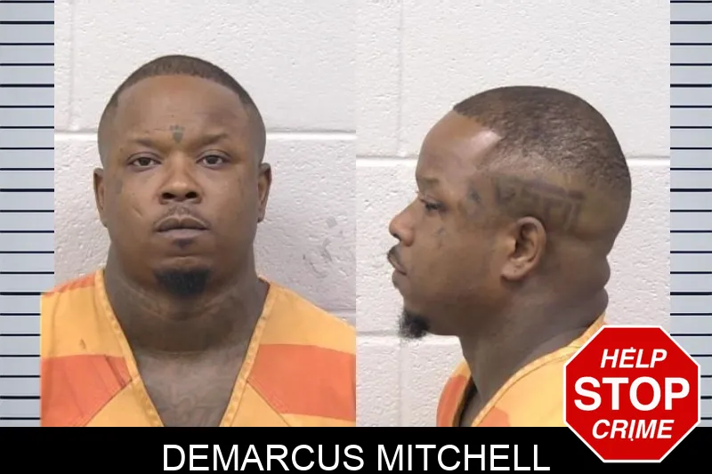 Demarcus Mitchell mugshot – Paulding County , Georgia Demarcus Mitchell mugshot