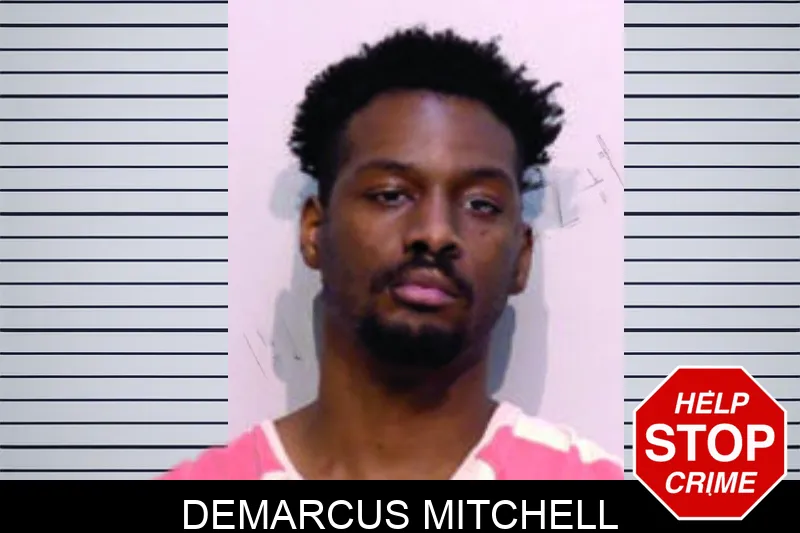 Demarcus Mitchell mugshot – Bartow County , Georgia Demarcus Mitchell mugshot