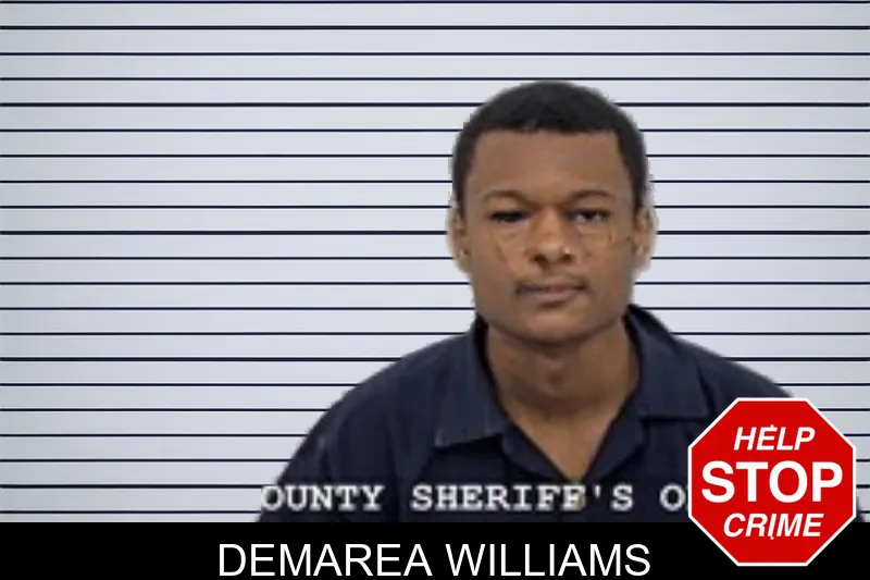 Demarea Williams mugshot