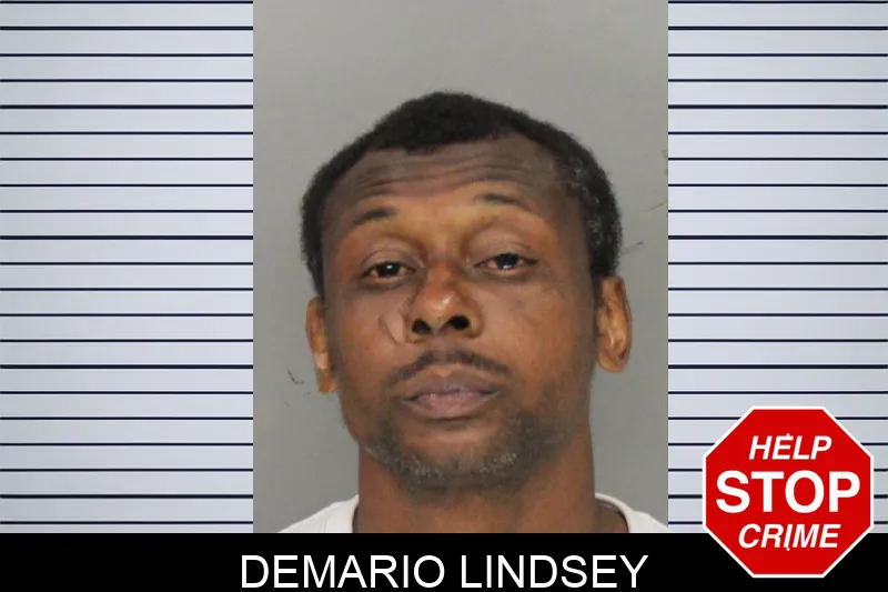 Demario Lindsey mugshot