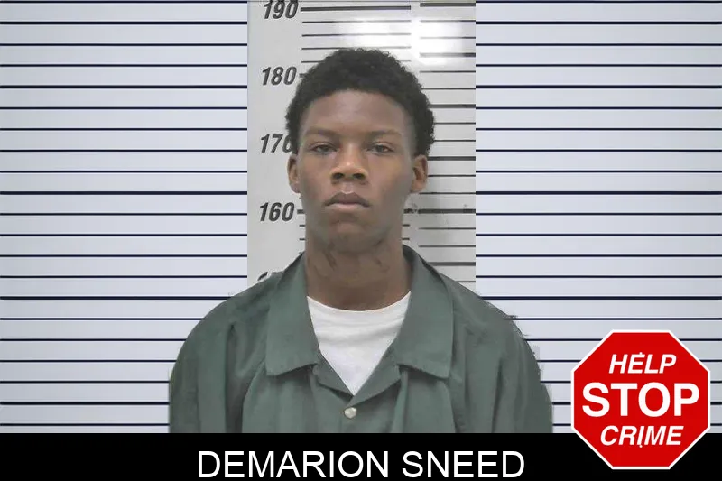 Demarion Sneed mugshot