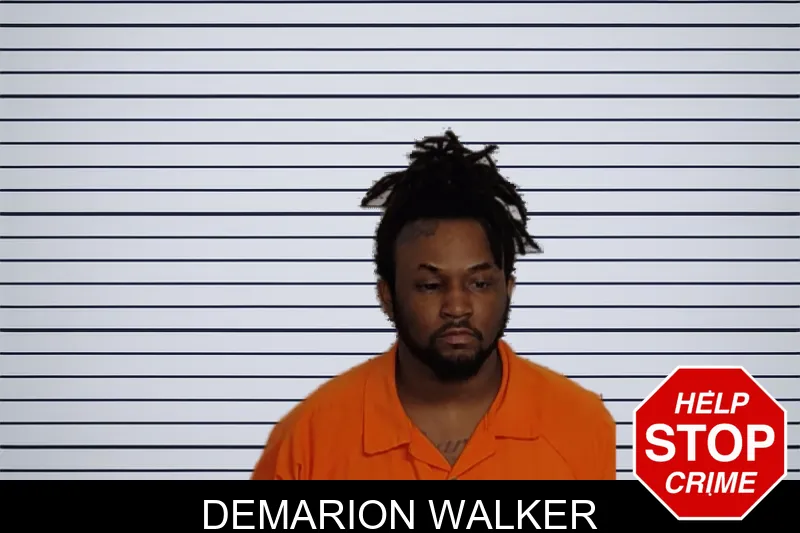 Demarion Walker mugshot