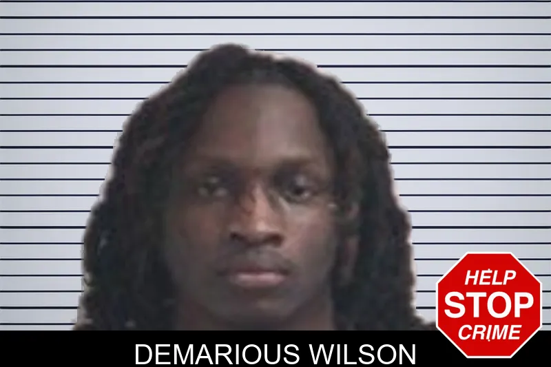 Demarious Wilson mugshot – Henry County , Georgia Demarious Wilson mugshot