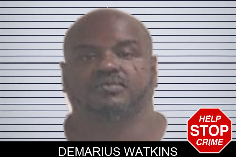 Demarius Watkins mugshot