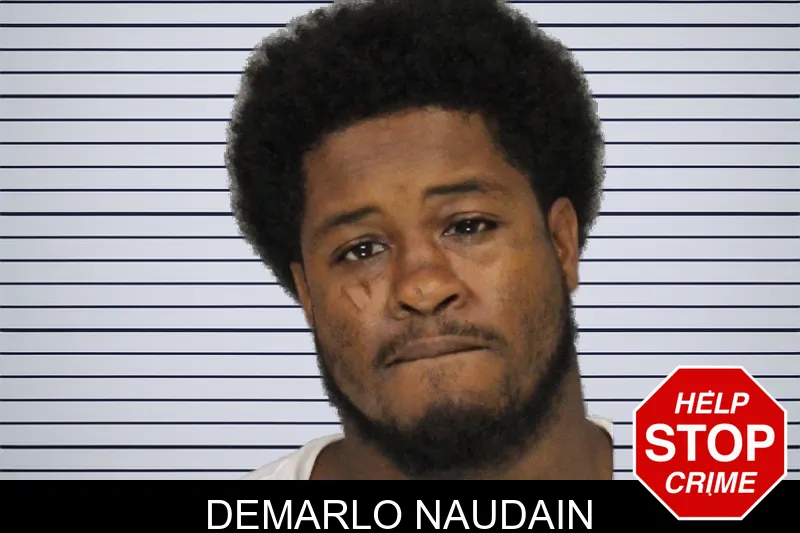 Demarlo Naudain mugshot – Cobb County , Georgia Demarlo Naudain mugshot