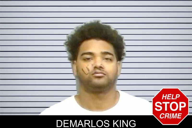 Demarlos King mugshot