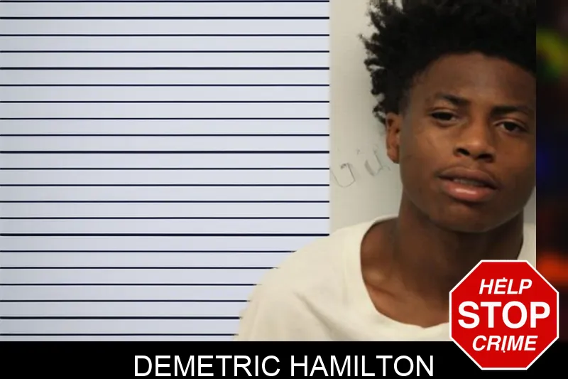 Demetric Hamilton mugshot – Chatham County , Georgia Demetric Hamilton mugshot