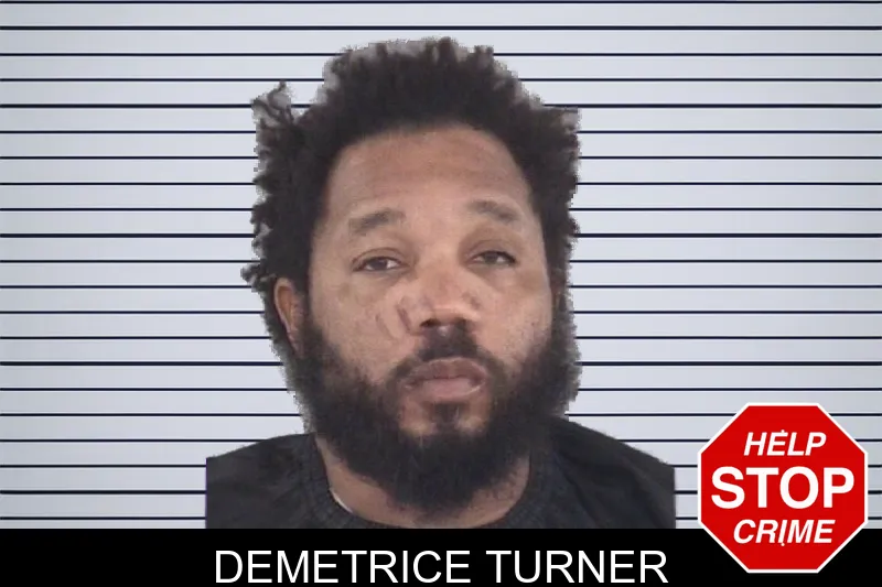 Demetrice Turner mugshot – Spalding County , Georgia Demetrice Turner mugshot
